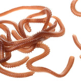 Maxbell 3D Soft Crab with Hook + Earthworm Lure Set Fishing Tackle Gear - Aladdin Shoppers