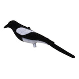 Maxbell Maxbell Full Flocked Realistic Calling Magpie Decoy Shooting/Hunting Decoying Bait