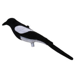 Maxbell Maxbell Full Flocked Realistic Calling Magpie Decoy Shooting/Hunting Decoying Bait