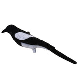 Maxbell Maxbell Full Flocked Realistic Calling Magpie Decoy Shooting/Hunting Decoying Bait