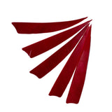 Maxbell 5 Pieces Shield Cut Archery Hunting Arrow Feather Fletching DIY Red Left - Aladdin Shoppers