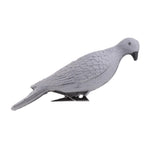 Maxbell Lifelike Pigeon Decoy Yard Plant Scarer Hunting Bait Garden Decor Gray - Aladdin Shoppers