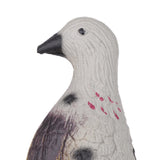 Maxbell Maxbell Lifelike Pigeon Decoy Yard Plant Scarer Hunting Bait Garden Decor Colorful