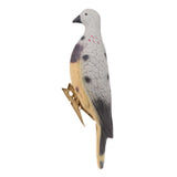 Maxbell Lifelike Pigeon Decoy Yard Plant Scarer Hunting Bait Garden Decor Colorful - Aladdin Shoppers