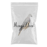 Maxbell Lifelike Pigeon Decoy Yard Plant Scarer Hunting Bait Garden Decor Colorful - Aladdin Shoppers