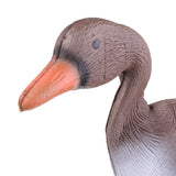10x Outdoor Full Size Goose Hunting Decoy 3D Target Garden Lawn Decor Goose