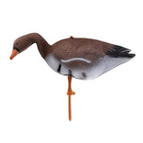 10x Outdoor Full Size Goose Hunting Decoy 3D Target Garden Lawn Decor Goose