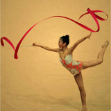 Maxbell Maxbell Gym Dancing Ribbon Rhythmic Art Gymnastic Streamer Twirling Rod  5mx10cm
