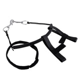 Maxbell Scuba Diving 6" Tank Side Mount Strap with Band and 2 Stainless Steel Clips - Aladdin Shoppers