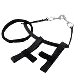 Maxbell Scuba Diving 6" Tank Side Mount Strap with Band and 2 Stainless Steel Clips - Aladdin Shoppers