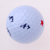 Maxbell Colorfast Golf Ball Stamp Stamper Marker Impression Seal Golfer Gift Flower - Aladdin Shoppers