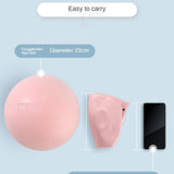 Maxbell Maxbell Mini Yoga Fitness Ball Exercise Gym Balance Pilates Training Ball PVC Ball