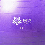 Maxbell Maxbell Yoga Ball w/Pump Anti Burst Exercise Balance Workout Stability 65CM Purple