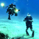 Maxbell Wetsuit Top 3mm Neoprene Adults for Water Sports in Cold Water M Women Blue - Aladdin Shoppers