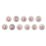 Maxbell MTB Bike Cassette Flywheel Mountain Bicycle Freewheel 10 Speed 11-25T - Aladdin Shoppers