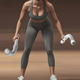 Maxbell 2 Pieces Battle Ropes Spring Bar for Indoor Outdoor and Office Strength Training gray