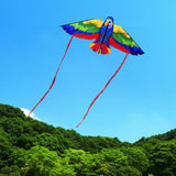 Maxbell Parrot Kite with 50M String Beach Kite for Garden Beach Family Outdoor Games Blue