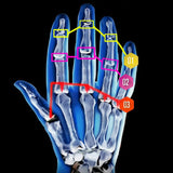 Maxbell Biomimetic Pronation Gripper Lightweight Versatile Anti-slip Wrist Wrestling Type A