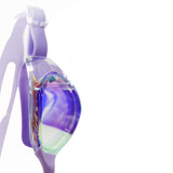 Maxbell Swimming Goggles Electroplating Diving Goggles for Diving Outdoor Snorkeling Purple