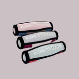 Maxbell 2Pcs Handle Weights Handheld Sandbag Fitness Gym Women Men Walking Dumbbells Blue