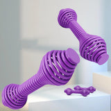 Maxbell 2Pcs Spring Steel Fitness Dumbbells Lady Curl Sports Equipment Hand Weights Violet