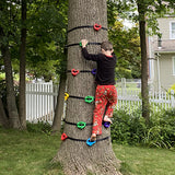 Maxbell 6Pcs Tree Climbing Holds for Kids Climber Backyard Climbing Artificial Rocks