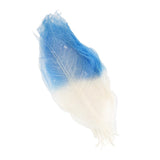 Maxbell 100 Pieces Natural Magnolia Skeleton Leaf Leaves for DIY Crafts Purple Blue - Aladdin Shoppers