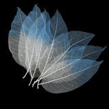 Maxbell 100 Pieces Natural Magnolia Skeleton Leaf Leaves for DIY Crafts Purple Blue - Aladdin Shoppers