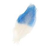 Maxbell 100 Pieces Natural Magnolia Skeleton Leaf Leaves for DIY Crafts Purple Blue - Aladdin Shoppers