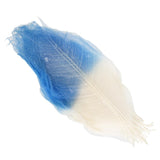 Maxbell 100 Pieces Natural Magnolia Skeleton Leaf Leaves for DIY Crafts Purple Blue - Aladdin Shoppers