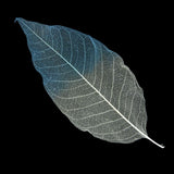 Maxbell 100 Pieces Natural Magnolia Skeleton Leaf Leaves for DIY Crafts Purple Blue - Aladdin Shoppers