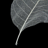 Maxbell 100 Pieces Natural Magnolia Skeleton Leaf Leaves for DIY Crafts Purple Blue - Aladdin Shoppers