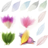 Maxbell 50Pcs Natural Magnolia Skeleton Leaf Leaves Card Scrapbook - Purple+White - Aladdin Shoppers