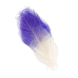 Maxbell 100 Pcs Natural Magnolia Skeleton Leaves DIY Scrapbooks Photo Album Purple and Pink and White - Aladdin Shoppers