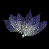 Maxbell 100 Pcs Natural Magnolia Skeleton Leaves DIY Scrapbooks Photo Album Purple and Pink and White - Aladdin Shoppers