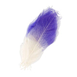 Maxbell 100 Pcs Natural Magnolia Skeleton Leaves DIY Scrapbooks Photo Album Purple and Pink and White - Aladdin Shoppers