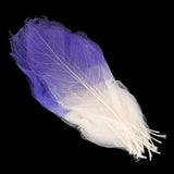 Maxbell 100 Pcs Natural Magnolia Skeleton Leaves DIY Scrapbooks Photo Album Purple and Pink and White