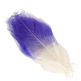 Maxbell 100 Pcs Natural Magnolia Skeleton Leaves DIY Scrapbooks Photo Album Purple and Pink and White - Aladdin Shoppers