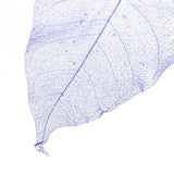 Maxbell 50Pcs Natural Magnolia Skeleton Leaf Leaves Card Scrapbook - Purple+White - Aladdin Shoppers