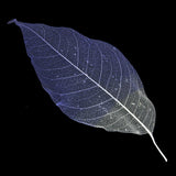 Maxbell 100 Pcs Natural Magnolia Skeleton Leaves DIY Scrapbooks Photo Album Purple and Pink and White - Aladdin Shoppers