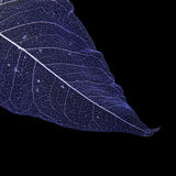 Maxbell 100 Pcs Natural Magnolia Skeleton Leaves DIY Scrapbooks Photo Album Purple and Pink and White - Aladdin Shoppers