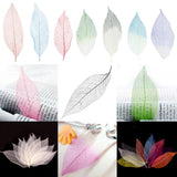 Maxbell 50Pcs Natural Magnolia Skeleton Leaf Leaves Card Scrapbook - Purple+White - Aladdin Shoppers