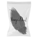 Maxbell 50Pcs Natural Magnolia Skeleton Leaf Leaves Card Scrapbook - Black - Aladdin Shoppers