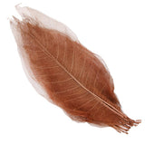 Maxbell 100Pcs Natural Magnolia Skeleton Leaf  Card Scrapbook Leaves Blue and Brown