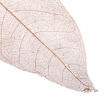 Maxbell 100Pcs Natural Magnolia Skeleton Leaf  Card Scrapbook Leaves Blue and Brown