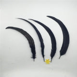 Maxbell 10PCS Dyeing Rooster Tail Feathers 35-40cm Black