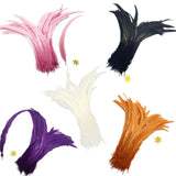 Maxbell 10PCS Dyeing Rooster Tail Feathers 35-40cm Black - Aladdin Shoppers