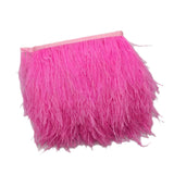 Maxbell 2pcs Ostrich Feather Fringe Trim Costume Sewing Crafts Decorations