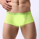 Maxbell Mens Sexy Sheer See Through Stripe Boxer Briefs Underwear Panties Yellow M - Aladdin Shoppers