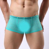 Maxbell Mens Sexy Sheer See Through Stripe Boxer Briefs Underwear Panties Green L - Aladdin Shoppers